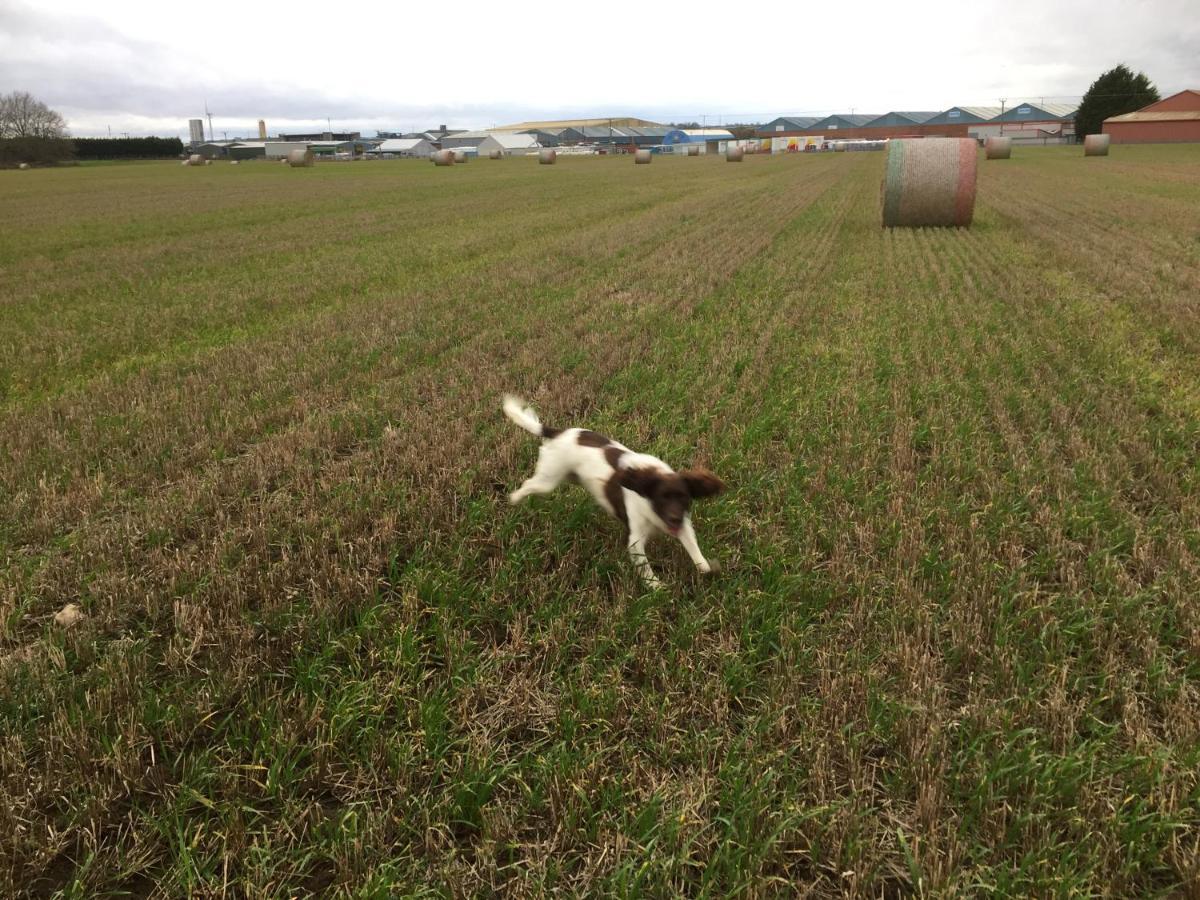 Luxury Dog Friendly Cottage Sleeps 4 บริดลิงตัน ภายนอก รูปภาพ
